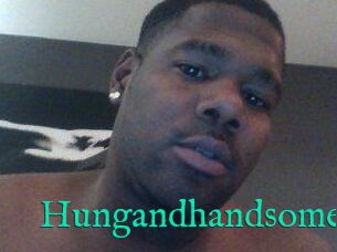 Hungandhandsome