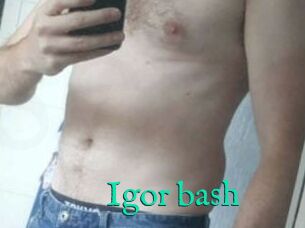 Igor_bash