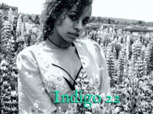 Indigo_22