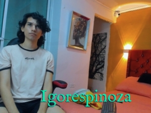 Igorespinoza