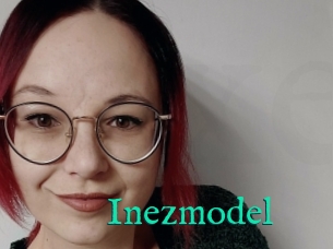 Inezmodel