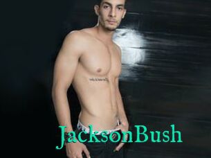 JacksonBush