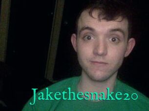 Jakethesnake20