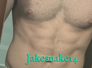 Jakesnake14