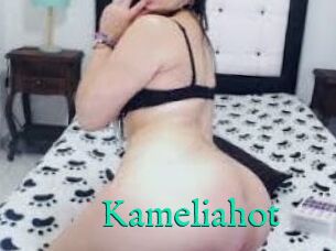 Kameliahot