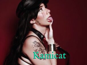 Kamicat