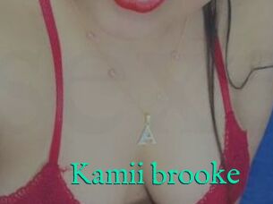 Kamii_brooke