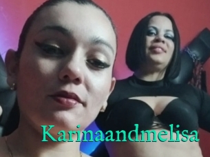 Karinaandmelisa