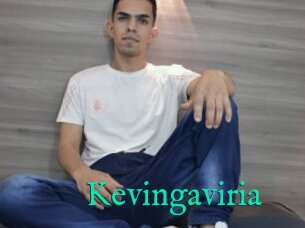 Kevingaviria
