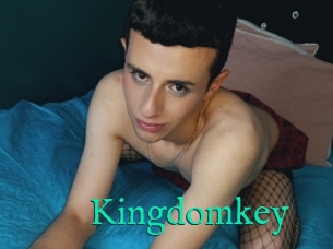 Kingdomkey