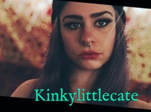 Kinkylittlecate