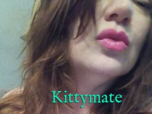 Kittymate