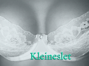 Kleineslet