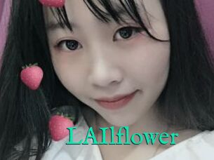 LAIlflower