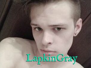 LapkinGray