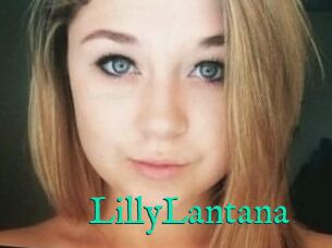 LillyLantana