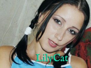 Lily_Cat_