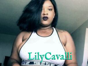 Lily_Cavalli