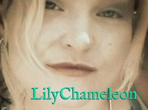 LilyChameleon
