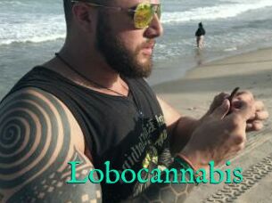 Lobocannabis