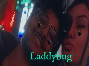 Laddybug