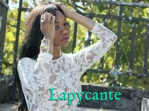 Lapycante