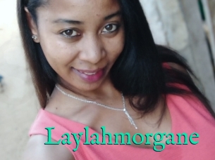 Laylahmorgane