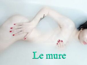 Le_mure