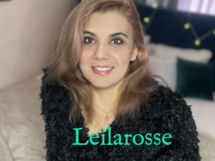 Leilarosse