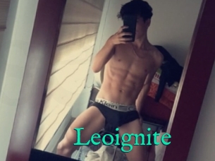 Leoignite