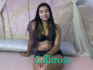 Lillirosa