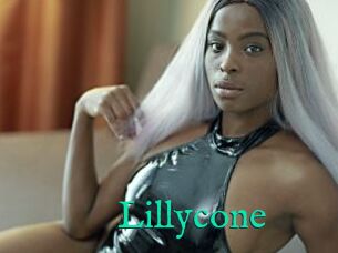 Lillycone