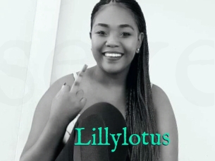 Lillylotus