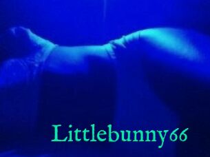 Littlebunny66