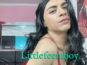 Littlefeemboy