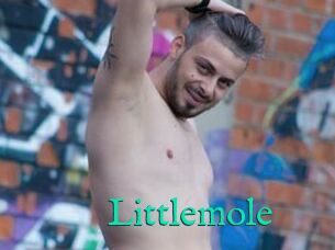 Littlemole