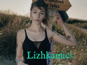 Lizhkamics