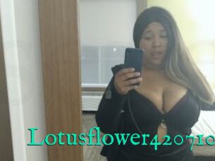 Lotusflower420710