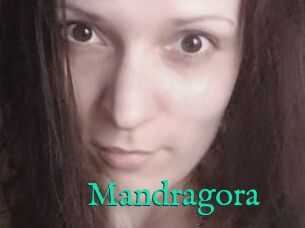 Mandragora