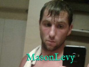 Mason_Levy