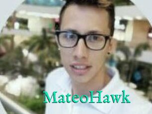 MateoHawk