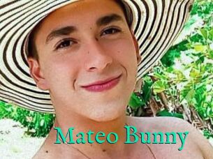 Mateo_Bunny