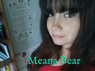 Meana_Bear