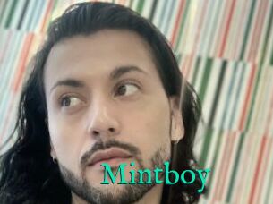 Mintboy