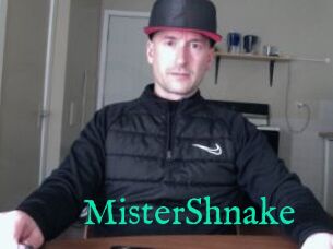 MisterShnake