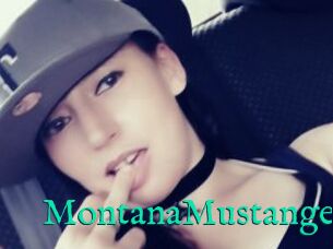 MontanaMustange