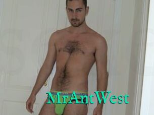 MrAntWest