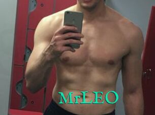 MrLEO