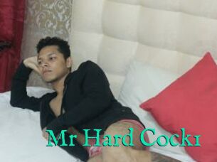 Mr_Hard_Cock1