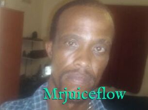 Mrjuiceflow